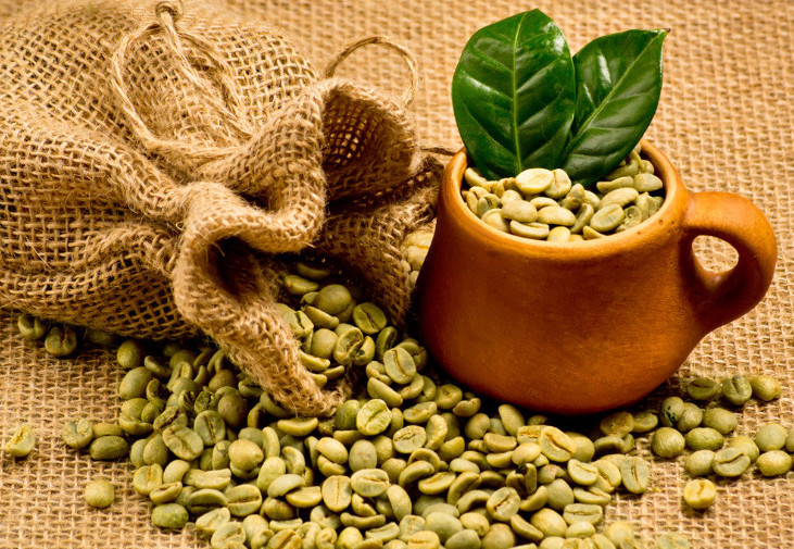 Návrh na dovoz zelenej kávy z Afriky